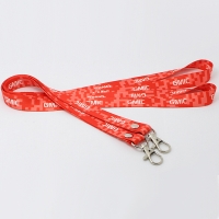 Lanyard