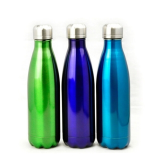 Sports Insulated Stainless Steel Water Bottle