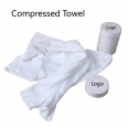 Compressed Towel