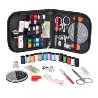 Mini Sewing Kit