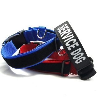 Dog Collar with Handle