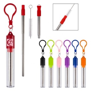 Telescopic Stainless Straw in Carabiner Case