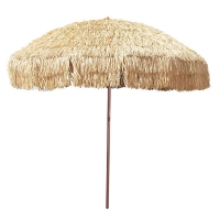 Tropical Beach Parasol