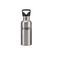 11oz Stainless Steel Water Bottle With Straw Lid